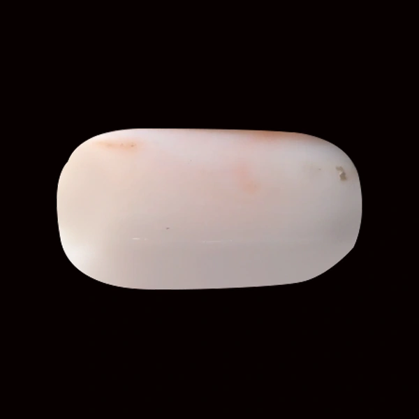 White Coral - 5.83 carats
